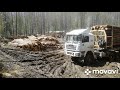 Лесовоз 6×6 шакман. Заехали на погрузку в грязь.