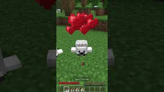 I added Seals to Minecraft