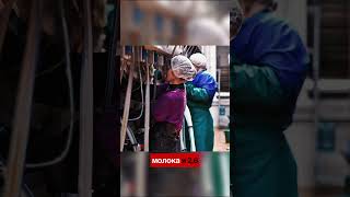 Урожай больше — производство меньше