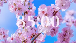 Celebrity 85 Minute Timer - Pink Flowers Profile