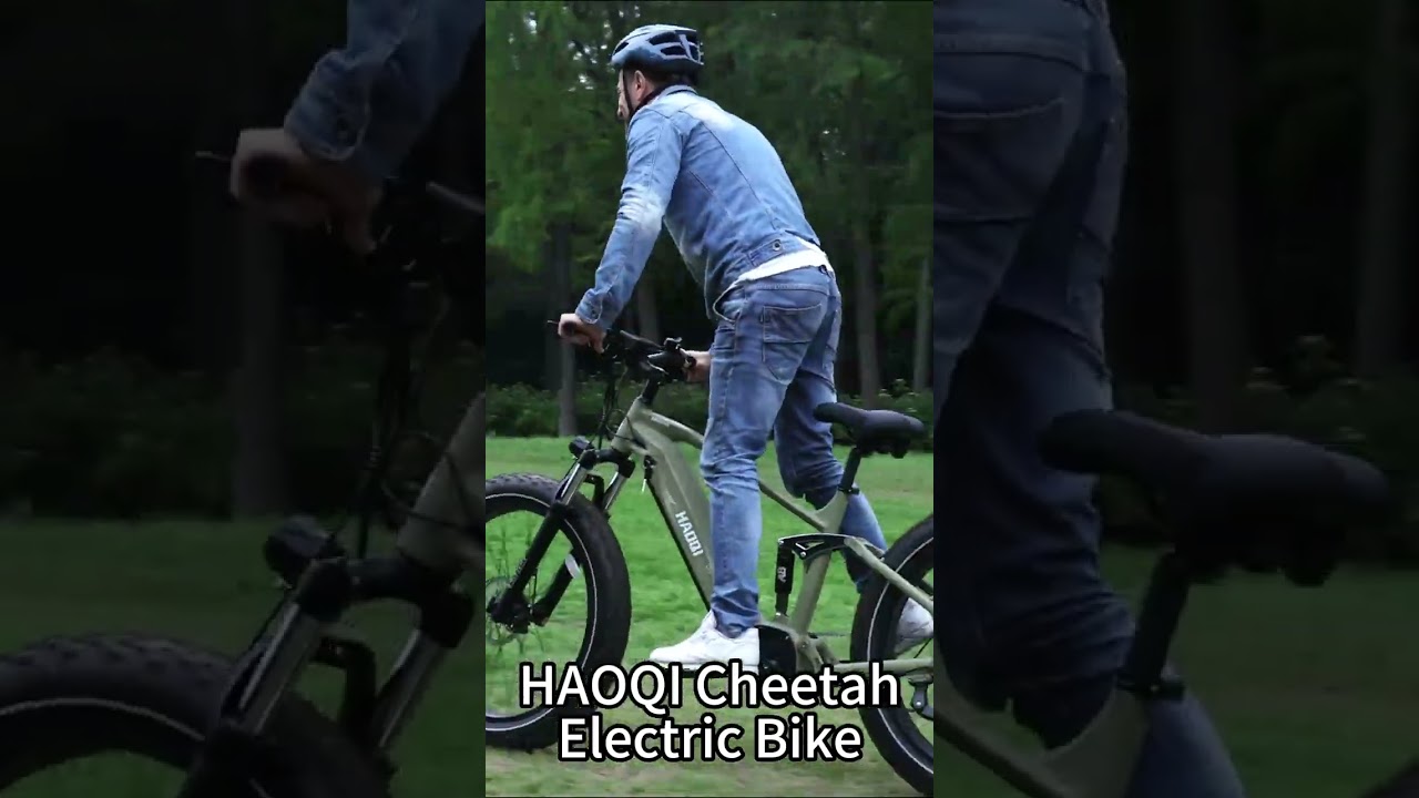 Catch the Sale! HAOQI Cheetah Fullsuspension and dual battery Ebike.  