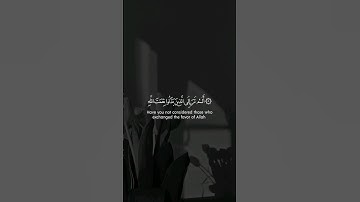 سورة ابراهيم 🍁 القارئ طارق محمد