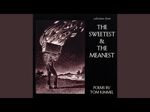 من شاعر نیستم