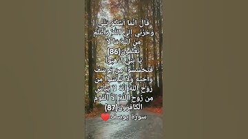 سورة يوسف #اكسبلور #ترند #لايك #تيك_توك #respect