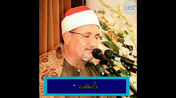 احدى ابداعات الشيخ محمد عبدالوهاب الطنطاوي 