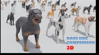 How Big Can Dogs REALLY Get? 🐶 3D Size Comparison Revealed!