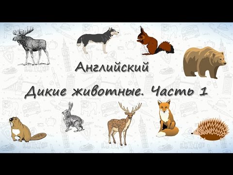 Животные английский язык видео уроки