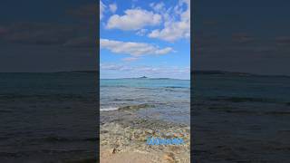 오키나와|| 물이 정말 투명한 비세자키해변 ⛱️ 캠핑도 가능 #오키나와 #okinawa #비세자키 #스노쿨링 #캠핑