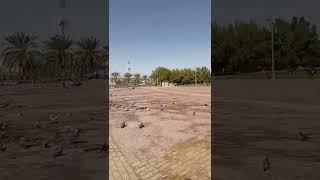 Rawdah Park حفصة بنت عمر، الروضة،، Ar Rawdah, Riyadh 13211