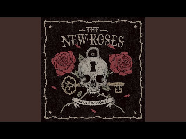 The New Roses - Heads Or Tails