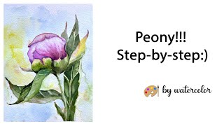 Draw The Peony Stepbystep!!! #watercolorpainting #watercolor #paintingtutorial #art #watercolor