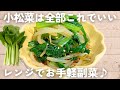 【小松菜レシピ】チンして混ぜるだけ♪小松菜ともやしのナムル🟢家にある調味料だけでできます！