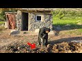 A Mother Abandoned by Her Son… What Is She Building in the Freezing Mountains?