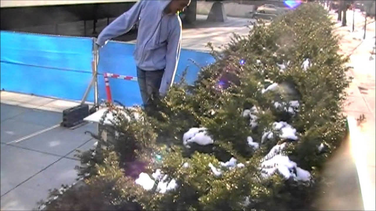 SNOW-Jhymez OFFICIAL MUSIC VIDEO