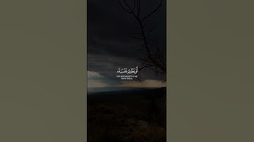 #عبدالله_غيلان #تلاوة #آيات #القرآن_الكريم #quran #قرآن #تلاوات #القرآن #تلاوة_خاشعة #قران_كريم#ترند