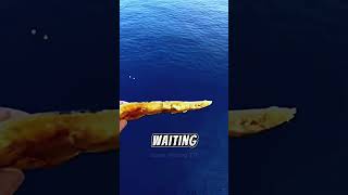 He Looked Down From the Oil Rig… Then Threw Pizza 😳