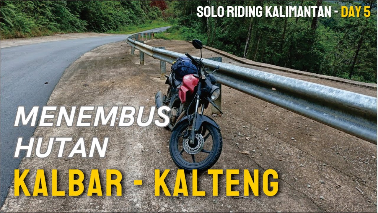 ЧАСТЬ 3 - День 5.. 1700 км в одиночку по Калимантану... Путешествие по лесам Западного Калимантан...