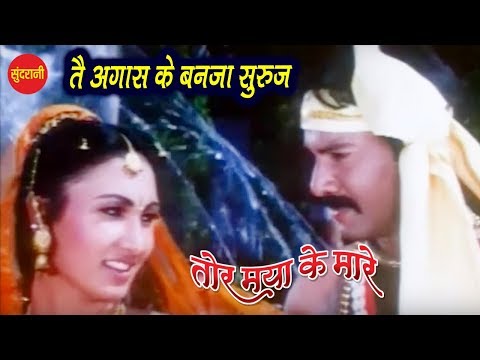 tai-agas-ke-banja-suruj---तै-अगास-के-बनजा-सुरुज-||-tor-maya-ke-mare-||-cg-movie-song---2019
