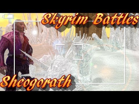 Skyrim Battles -