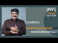 Day 12 || AWS Elastic Block Storage (EBS) Practical | General Purpose gp2 | gp3 | Provisioned IOPS
