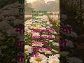 सुगंधात हरवलेलं सुंदर जग.” 🌸“फुलांची बाग #flowergarden #shortsvideo