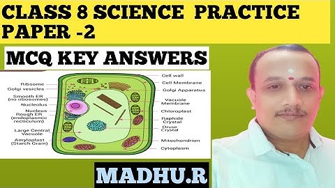 CLASS 8 SCIENCE PRACTICE PAPER -2 MCQ QUESTIONS KEY ANSWERS