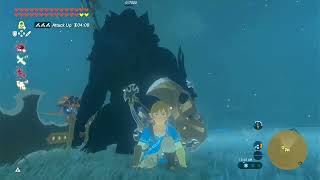Perfect Anime-like battles in BOTW