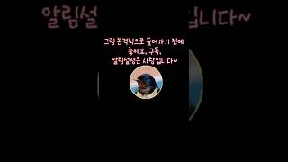 최근 5주간의 로또 미출현번호를 알아봅시다.