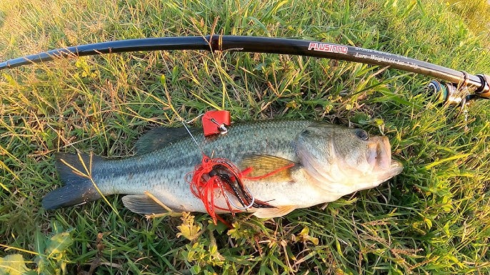 Can this telescopic rod and reel hold up to redfish? (Eagle claw pack-it!)  