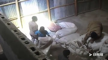 Lentil Processing, cleaning, color sorting, peeling machine in Win Tone