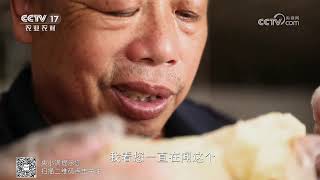 《谁知盘中餐》 20250311 大山里的春滋味 | 农业致富经 Agriculture And Farming