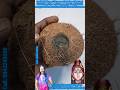 Lord SHIVA'S one EYE coconut its believed that Lord SHIVA himself is one EYE coconut feel SHIVA'S 🙏