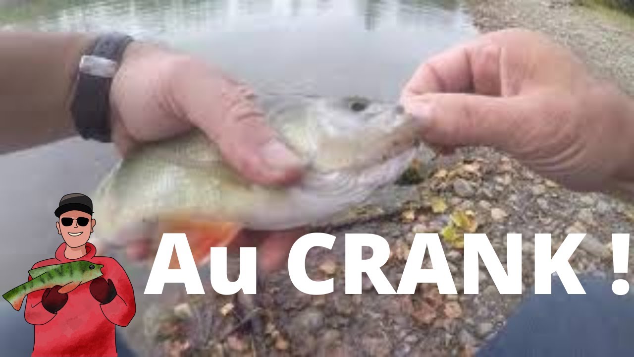 La perche au crank fait sur un lac communal