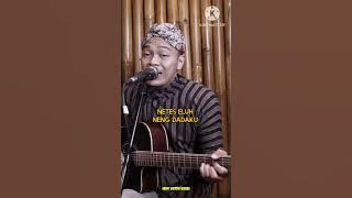 PAMER BOJO (DIDI KEMPOT COVER) #siho #didikempotcover #abahlala #videomusiklirik #liveacousticcover