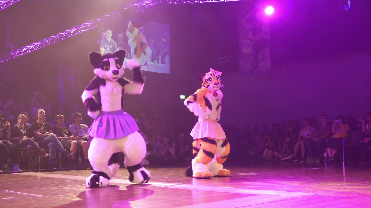 Eurofurence 25 [19] Intermission Enter the Arena - YouTube