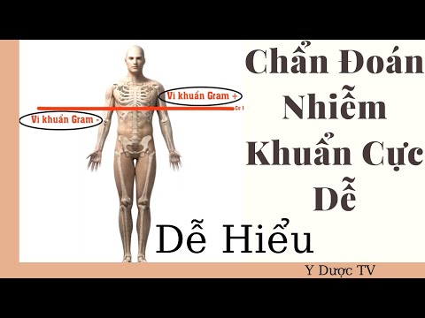 Kháng sinh theo kinh nghiệm - Các loại vi khuẩn  | Dược Lý video2 | Y Dược TV