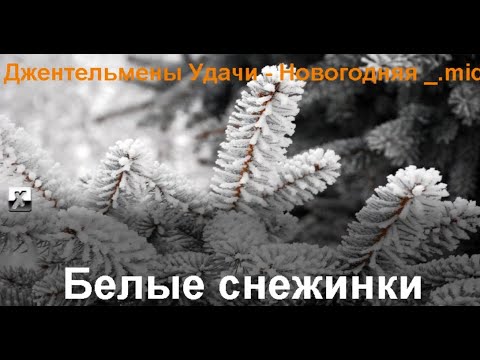 Белые снежинки караоке