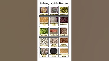 Pulses or Lentils Names