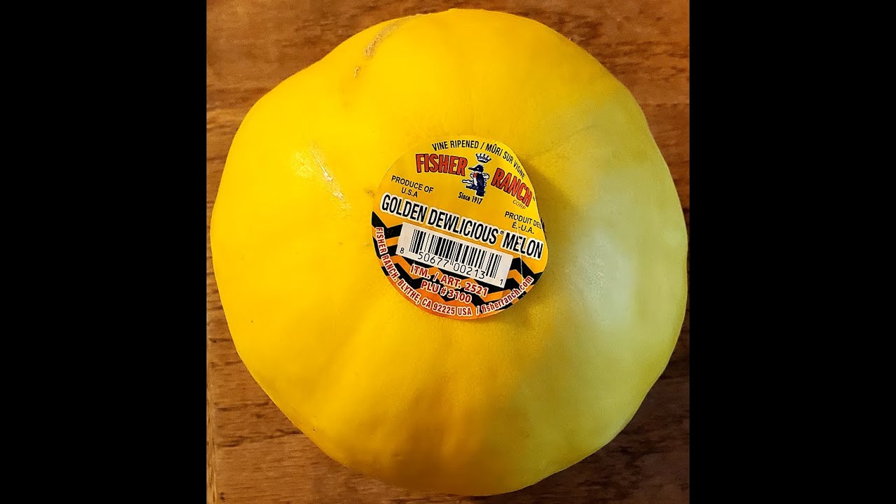 Fisher Ranch Golden Dewlicious Melon 3100 from the USA Review YouTube