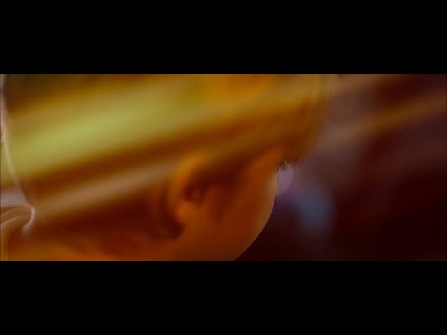 Fears Become Wishes M/V 2023