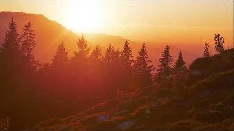 تلاوة عذبة أستمع إليها ورقق قلبك للقارئ عبد الله الخلف || سورة الكهف