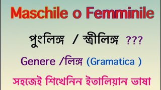 Maschile o femminile ( পুংলিঙ্গ / স্ত্রীলিঙ্গ  ) Genere - লিঙ্গ  (Italian Grammatica) learn Italian