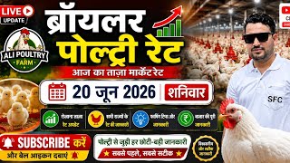20 जून 2026 Broiler Poultry Rates Today / all india poultry rates today / thok murga mandi rates