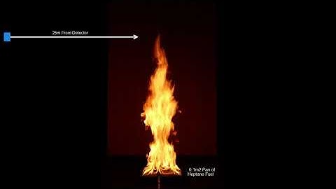 Talentum Flame Test Procedure
