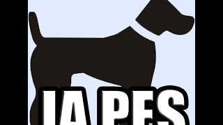 Pes - Psina Official Music Video 2013