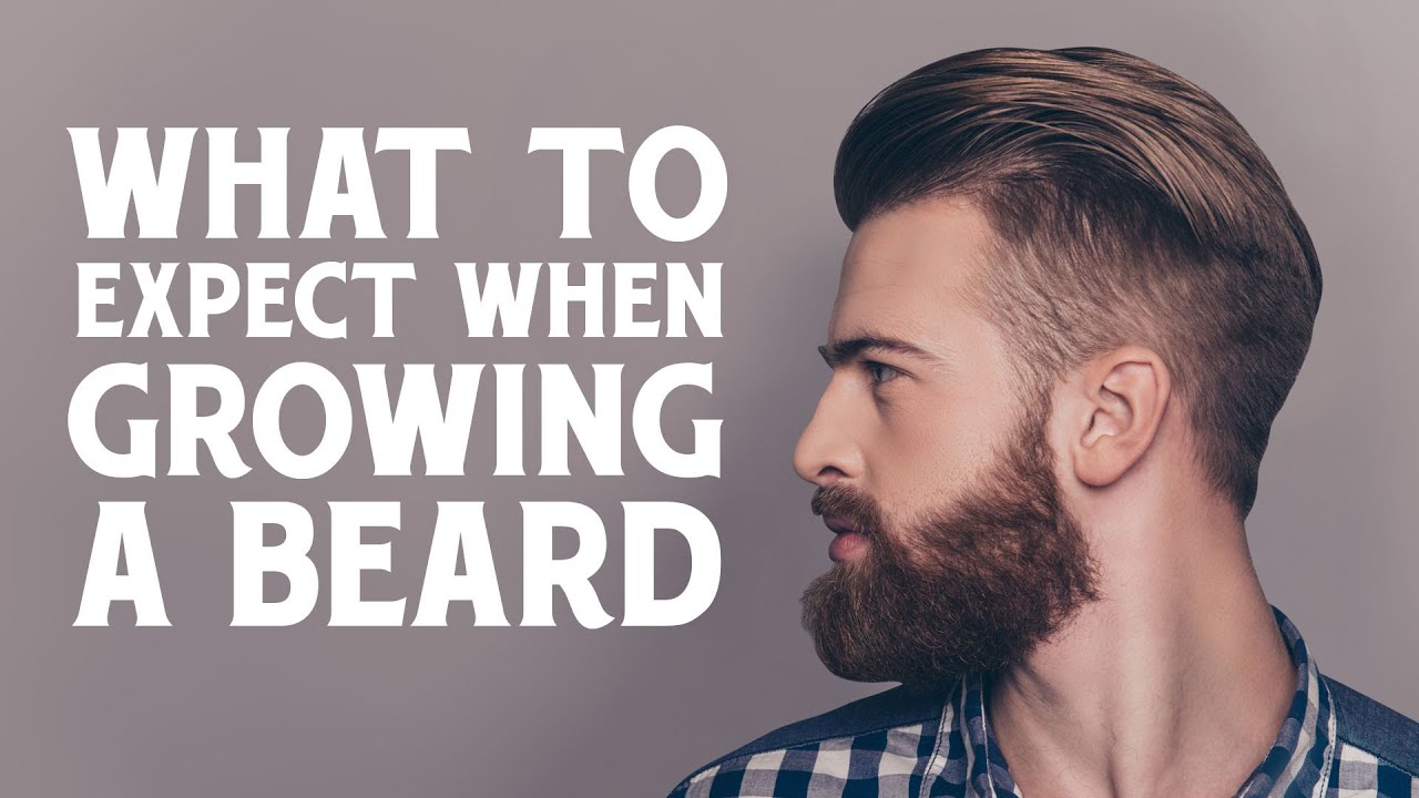 Supplements for beard growth - the guide to beard vitamins – Wild Willies