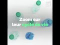 Zoom sur le cycle de vie des emballages en plastique loopsiderelipso