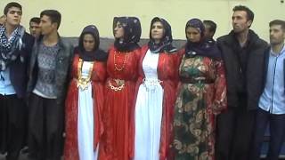 Grup Rıdvan Lore Şehanlı Dgünü No 0544 590 1754