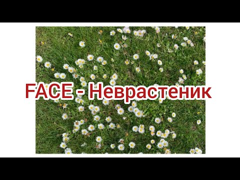 FACE - Неврастеник (Текст)