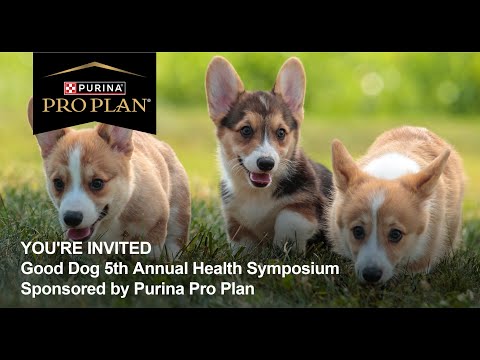 Good Dog Webinar: Breeders Roundtable Q&A